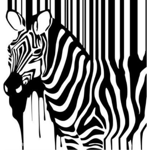 Falmatrica - Zebra, 46 x 48 cm
