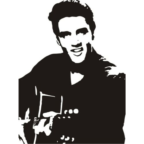 Falmatrica - Elvis Presley 46 x 62 cm