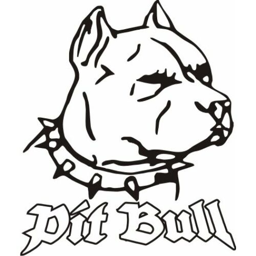 Pit Bull, 58 x 68 cm